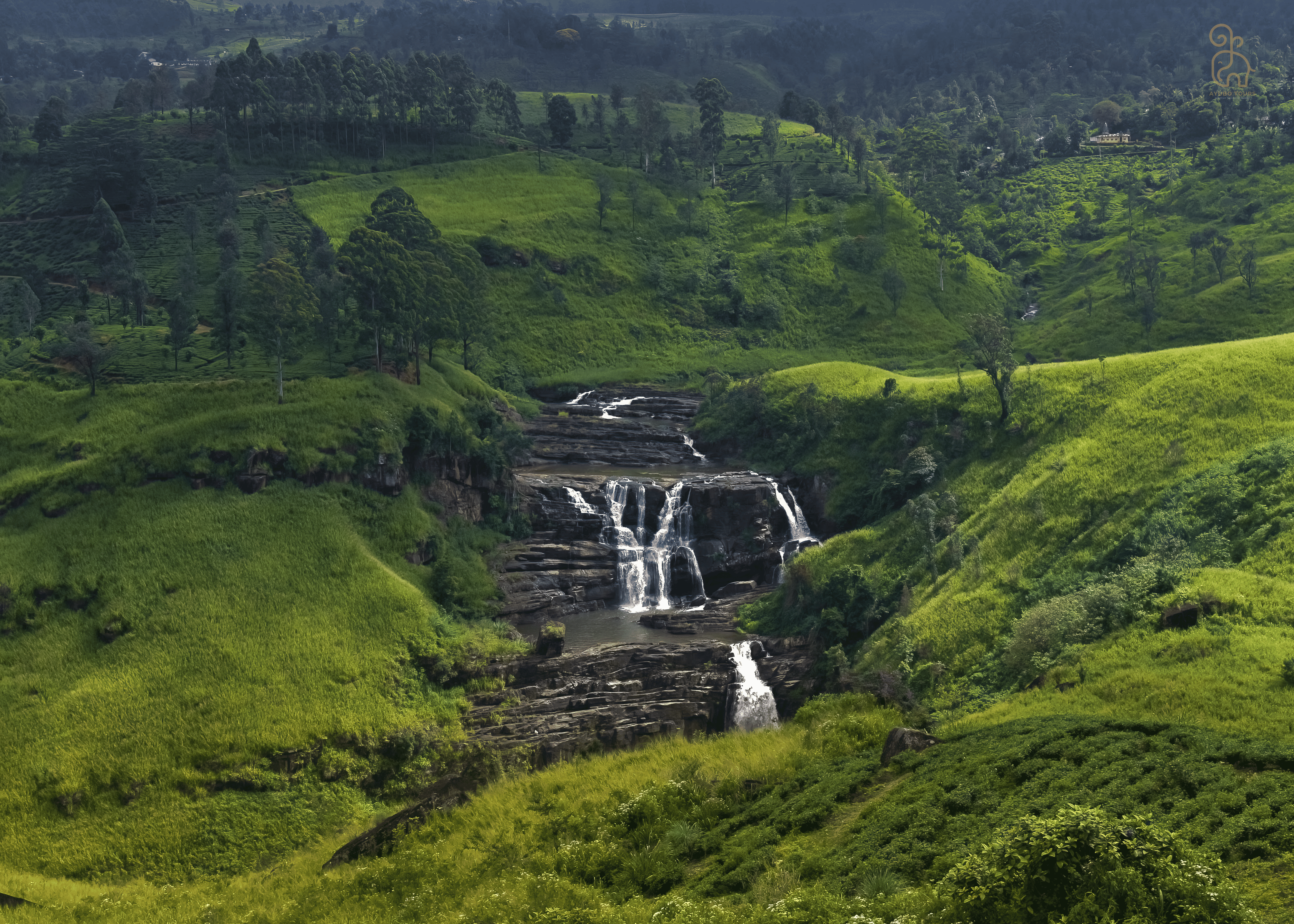 Horton Plains