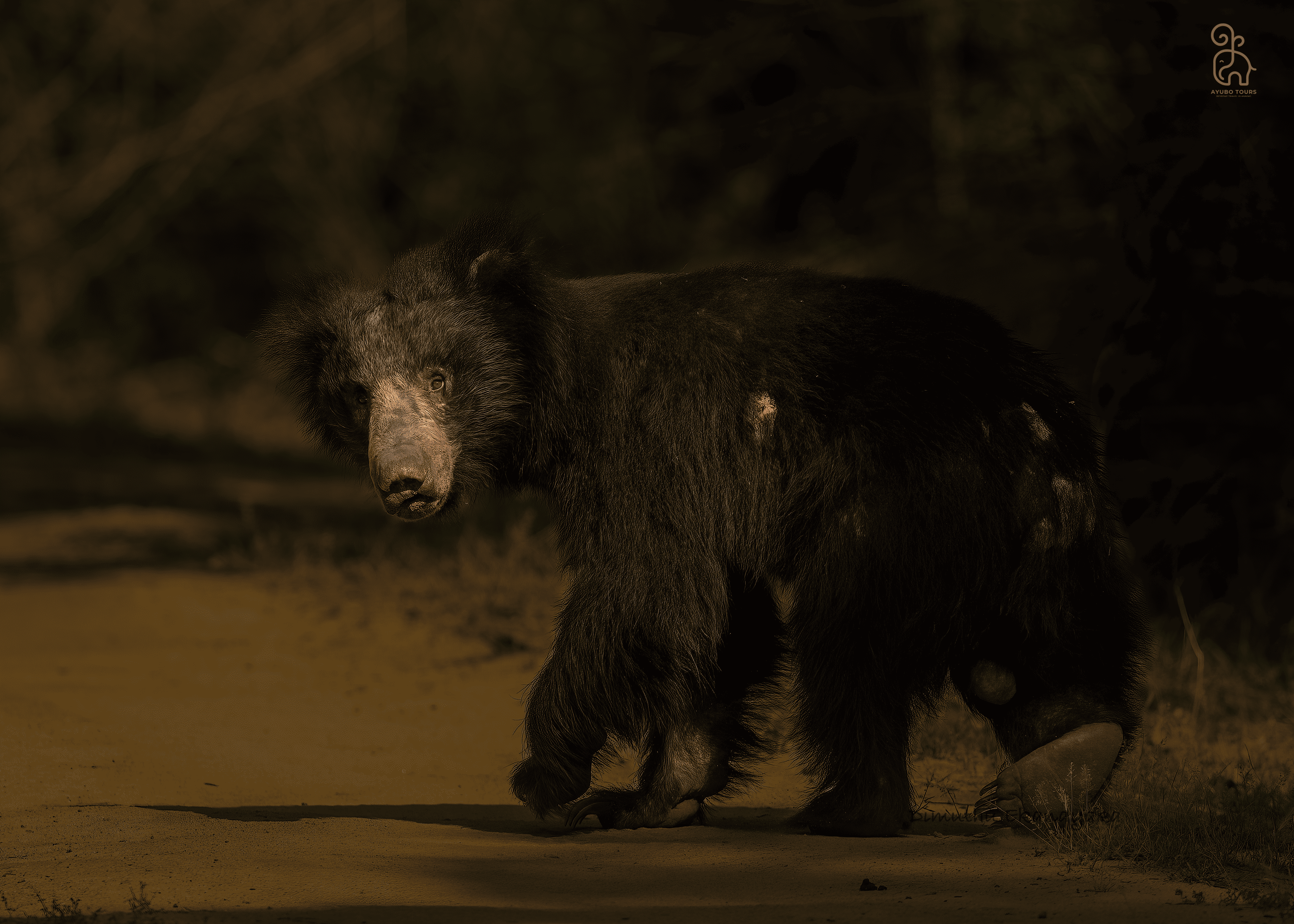 Kumana National Park