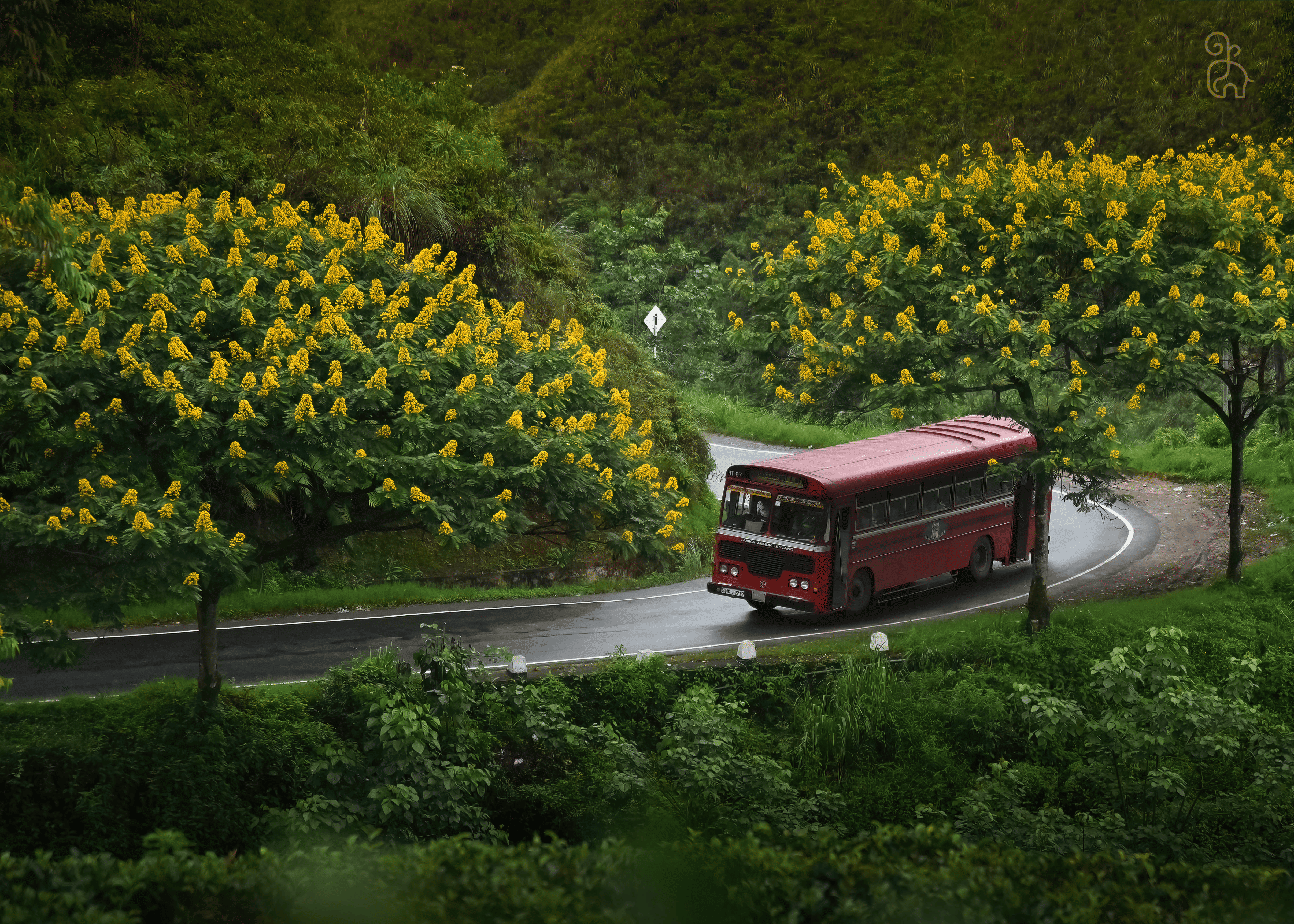 Nuwara Eliya